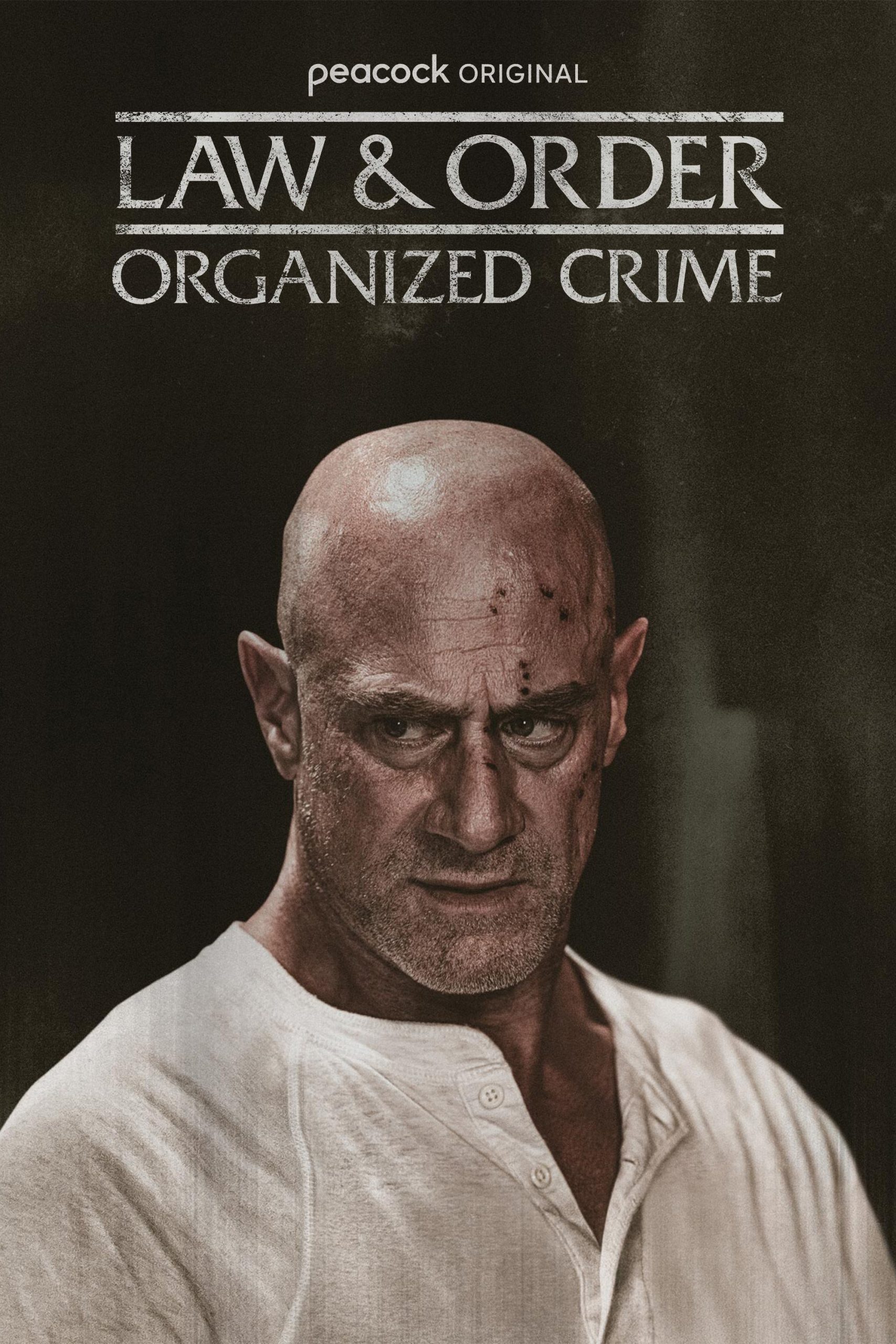 مسلسل Law & Order: Organized Crime موسم 5 حلقة 1